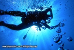 Kalymnos - Scuba Diving