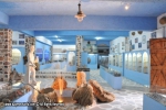 Kalymnos - Museum of Marine Life and Findings
